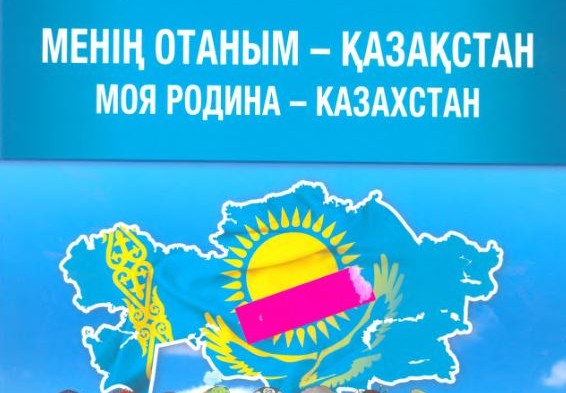 Обложка книги - флаг на фоне контура страны с коричневой полосой по центру