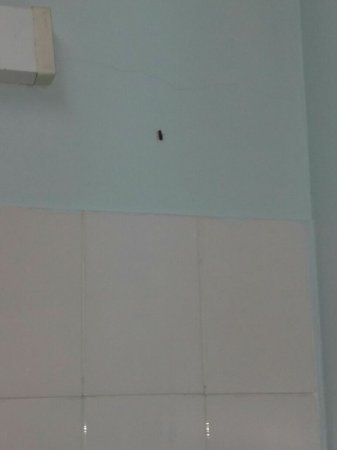 Мангистауская областная инфекционная больница. в палате