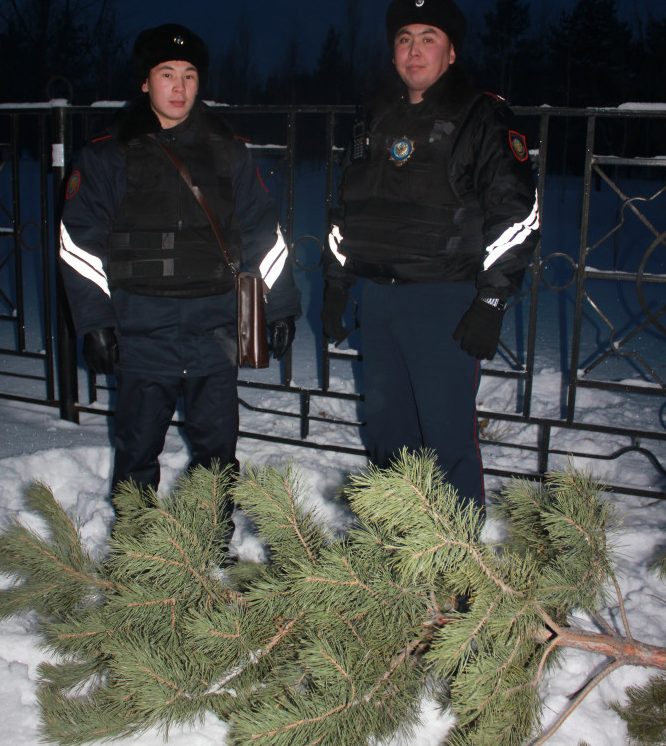Патрульные полицейские с изъятой у задержанного елкой