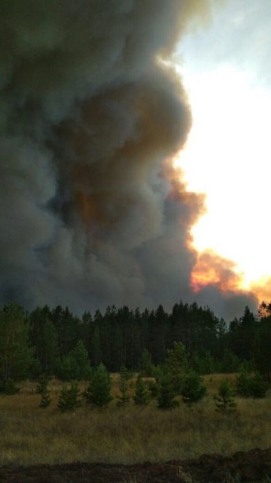 лесостепной пожар в Акмолинской области