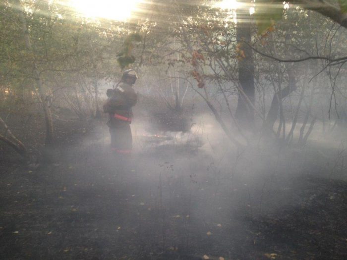 лесостепной пожар в Акмолинской области