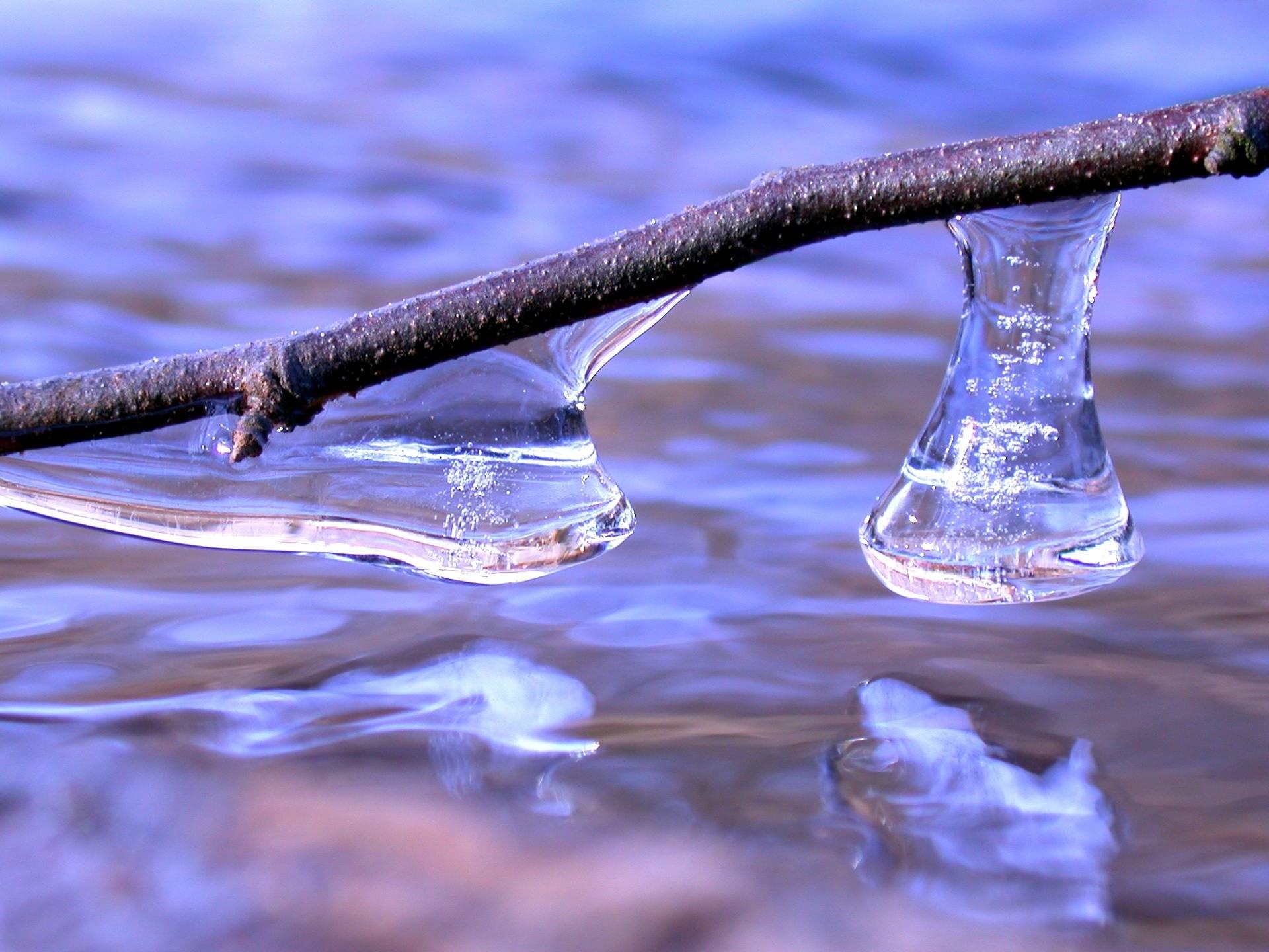 Вода в чаще. Талая вода. Весна вода. Таяние воды. Весна капель ручьи.