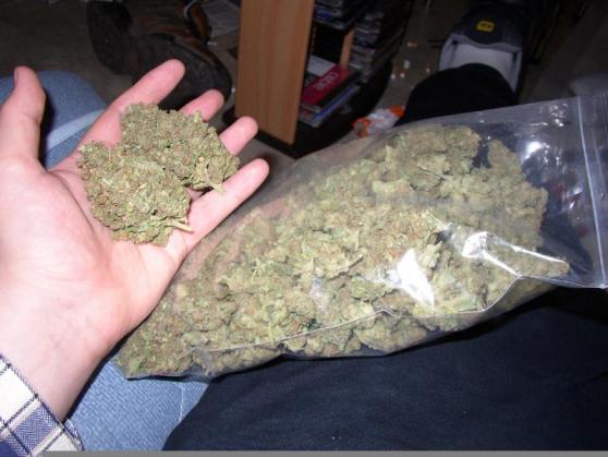 3 кг марихуаны