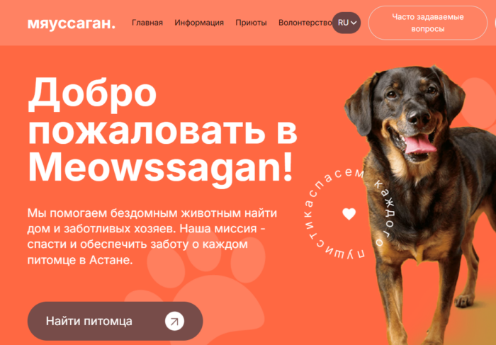 В Астане запустили сайт для поиска домашних животных из приютов